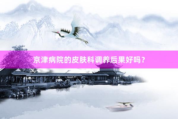 京津病院的皮肤科调养后果好吗？
